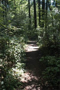 The Path to Higher Education